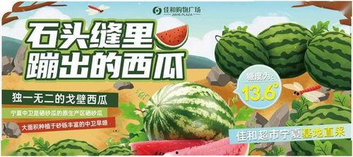 每日大赛吃瓜网